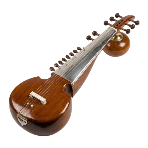 Sarod - Indian Classical Instrument