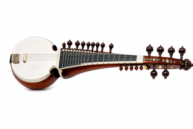 sarod for beginners at Yadwinder Music Patiala