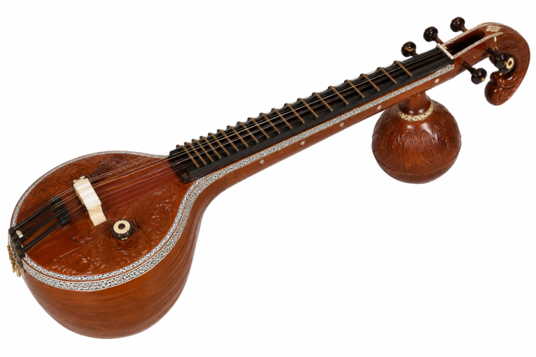 veena for beginners at Yadwinder Music Patiala
